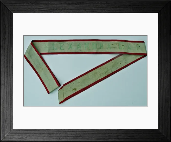 Framed Print : Alexandra Day ribbon tabard, worn by collectors
