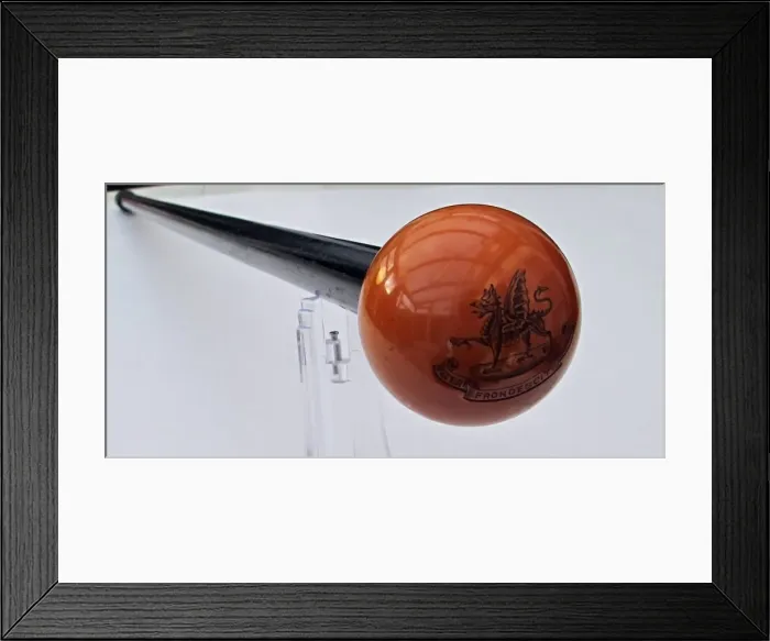 Framed Print : Black wooden stick with ivory snooker ball top Framed Print : Black wooden stick with ivory snooker ball top