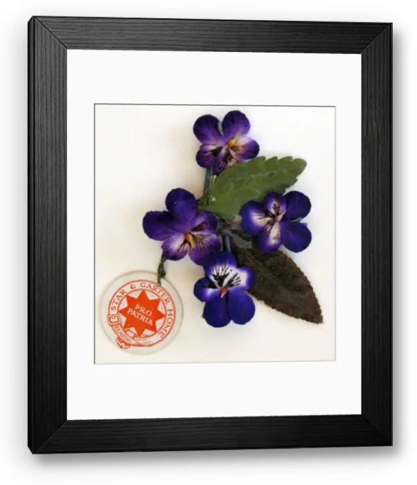 Framed Print : Violet Day Fund silver-topped Pounce pot - WWI era Framed Print : Violet Day Fund silver-topped Pounce pot - WWI era