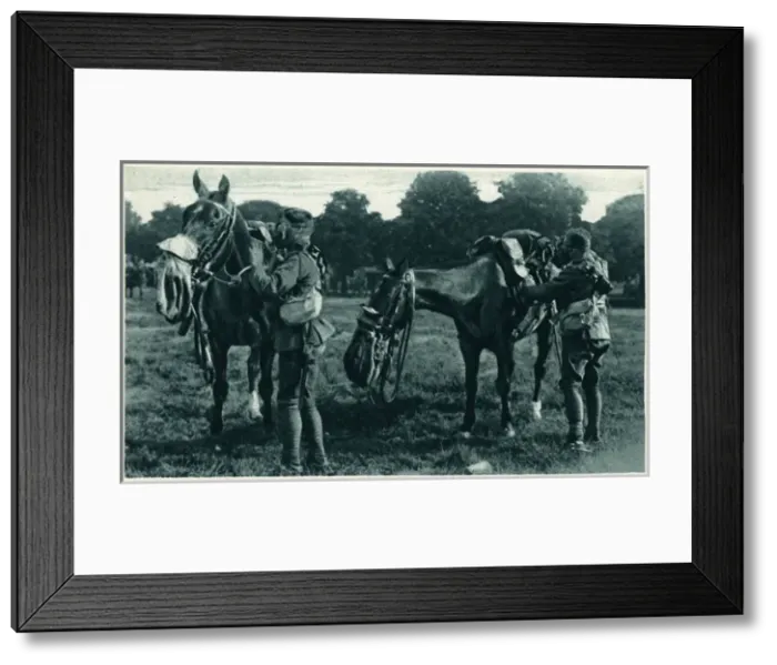 Framed Print : Gas-masked horse and horseman at Aldershot Framed Print : Gas-masked horse and horseman at Aldershot