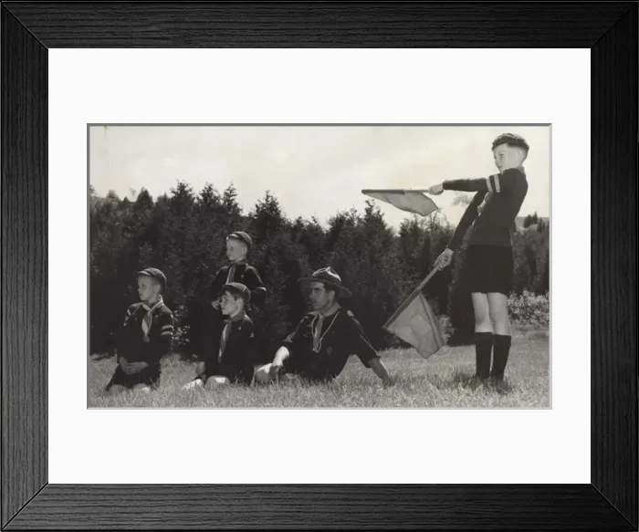 Framed Print : Wolf cubs doing a semaphore test, Canada Framed Print : Wolf cubs doing a semaphore test, Canada