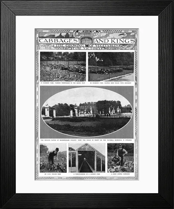 Framed Print : Growing vegetables for victory, WW1 Framed Print : Growing vegetables for victory, WW1