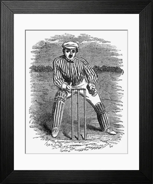 Framed Print : Cricket The Wicket Keeper Framed Print : Cricket The Wicket Keeper