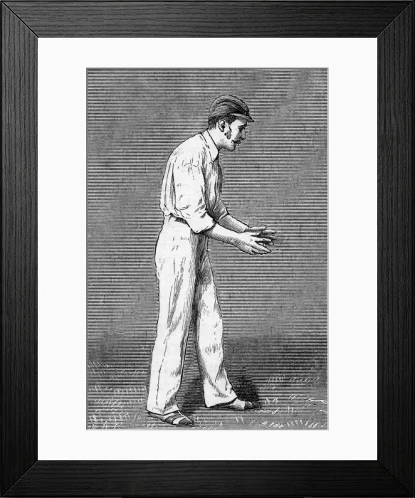 Framed Print : Cricket On Point Framed Print : Cricket On Point
