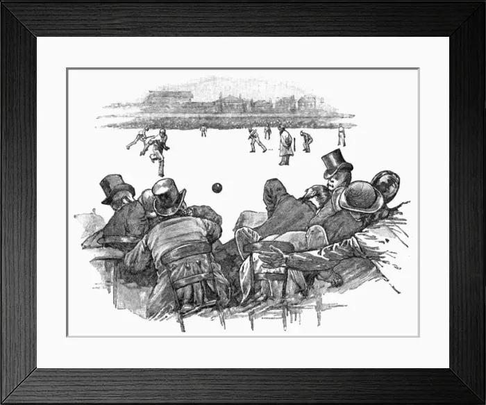 Framed Print : Cricket Ball Among Spectators Framed Print : Cricket Ball Among Spectators
