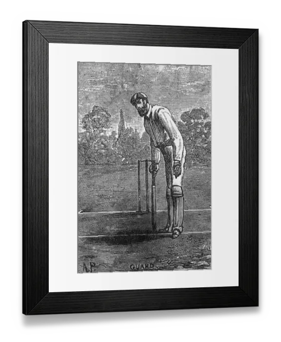 Framed Print : Cricket Batting Framed Print : Cricket Batting