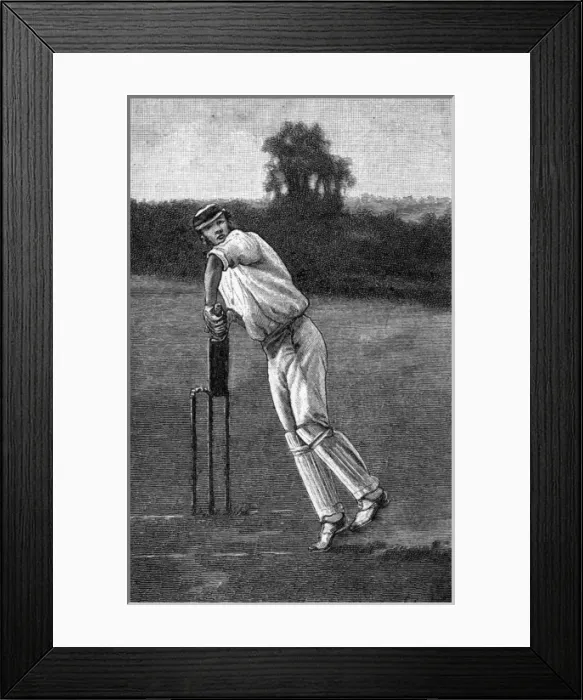 Framed Print : Cricket Back Play Shot Framed Print : Cricket Back Play Shot