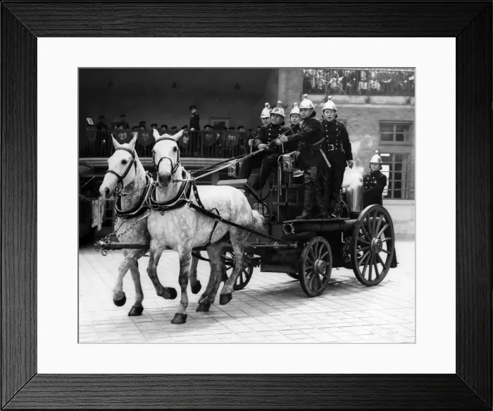 Framed Print : LFB horse-drawn steamer at modern review Framed Print : LFB horse-drawn steamer at modern review