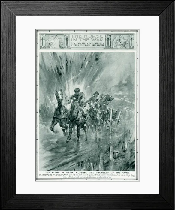 Framed Print : Horses running the gauntlet of the guns, 1917 Framed Print : Horses running the gauntlet of the guns, 1917