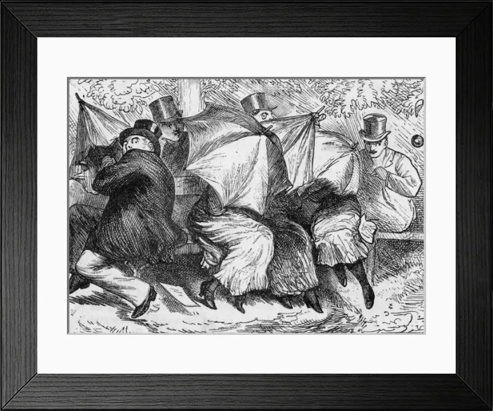 Framed Print : A cricket ball among the specators Framed Print : A cricket ball among the specators