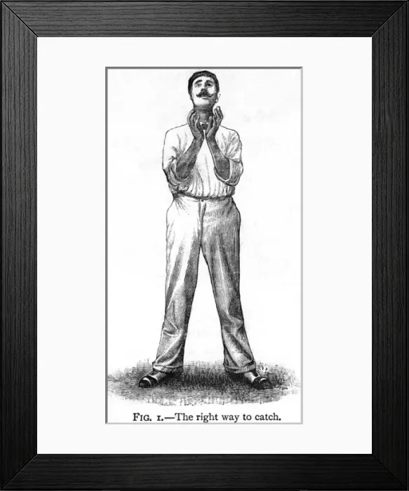 Framed Print : Cricket Catching Framed Print : Cricket Catching
