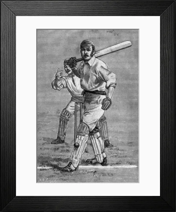 Framed Print : Cricket Leg Before Wicket Framed Print : Cricket Leg Before Wicket