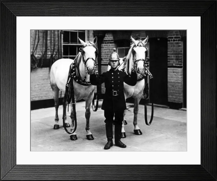 Framed Print : Fireman in brass helmet with two white horses