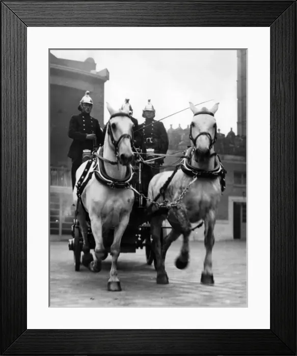 Framed Print : Horse-drawn fire vehicle and crew in display Framed Print : Horse-drawn fire vehicle and crew in display