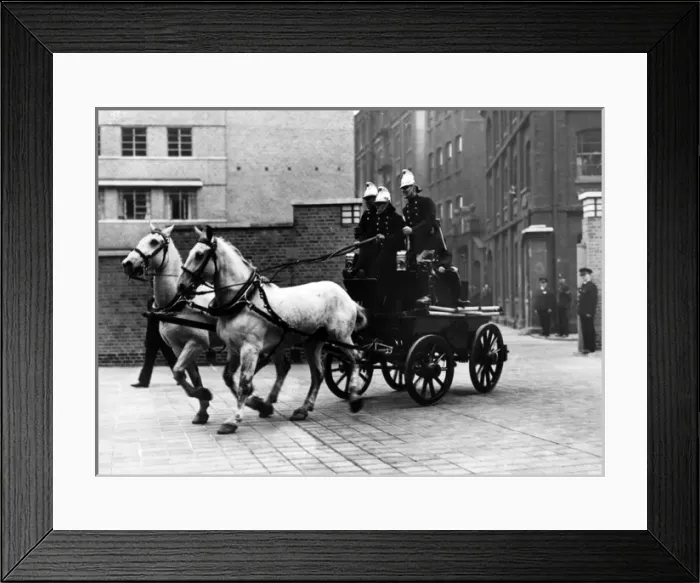 Framed Print : Horse-drawn fire vehicle and crew in display Framed Print : Horse-drawn fire vehicle and crew in display