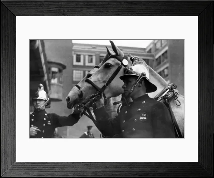 Framed Print : Horse-drawn steamer taking part in display Framed Print : Horse-drawn steamer taking part in display
