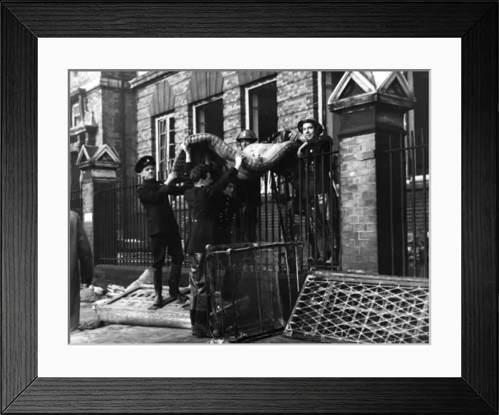 Framed Print : Blitz in London -- Mansfield Road sub-station, WW2 Framed Print : Blitz in London -- Mansfield Road sub-station, WW2