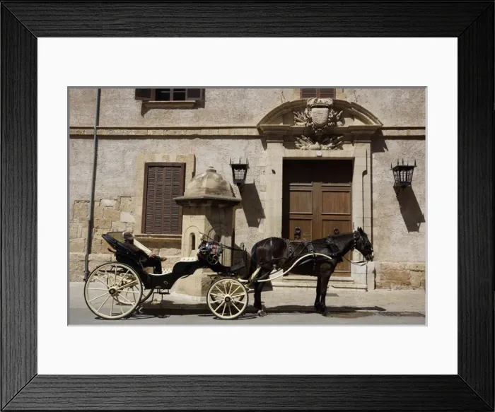 Framed Print : Palma, Mallorca - Horse Carriage at Almudiana Palace Framed Print : Palma, Mallorca - Horse Carriage at Almudiana Palace