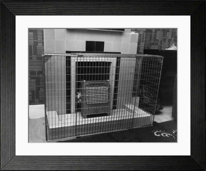 Framed Print : Fire safety -- correctly guarded electric fire Framed Print : Fire safety -- correctly guarded electric fire