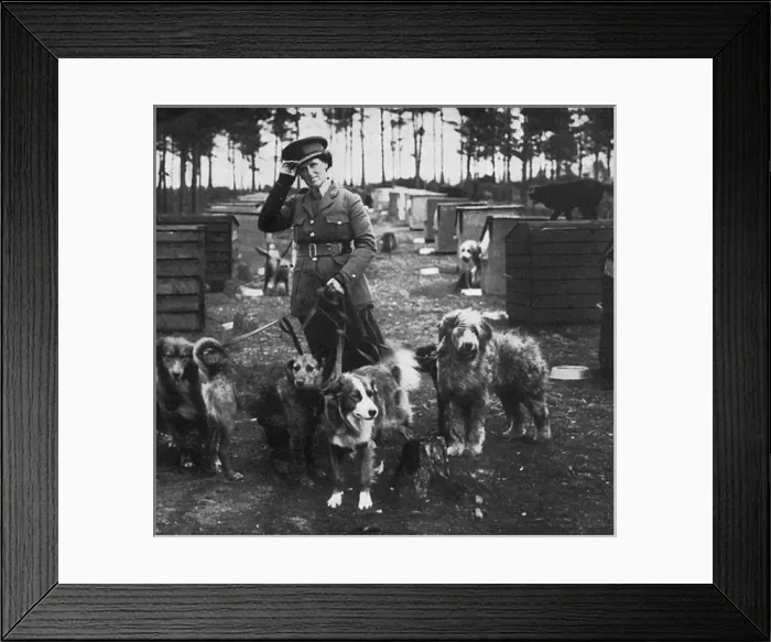 Framed Print : Mrs Richardson and her dog pupils, WW1 Framed Print : Mrs Richardson and her dog pupils, WW1