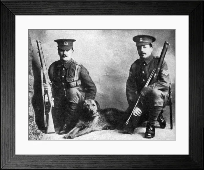 Framed Print : Sentry dog, WW1 Framed Print : Sentry dog, WW1