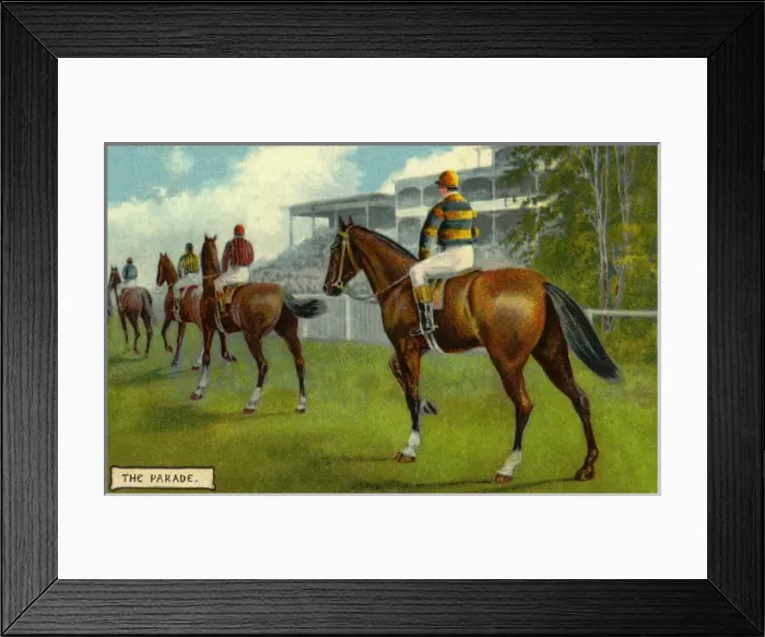 Framed Print : Horse racing Framed Print : Horse racing