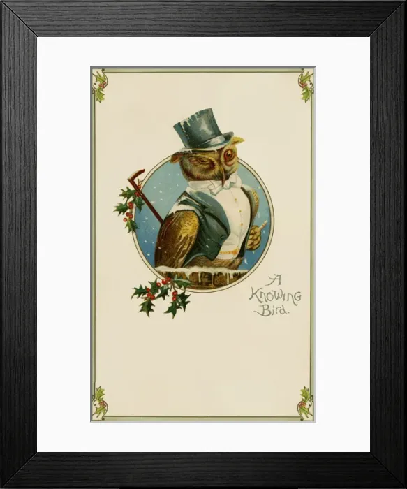 Framed Print : A wise owl Framed Print : A wise owl