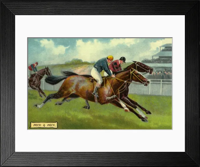 Framed Print : Horse racing Framed Print : Horse racing