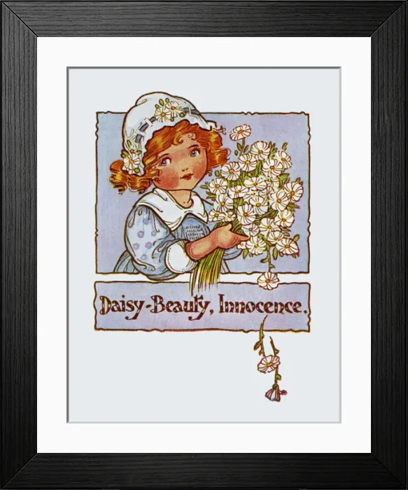 Framed Print : Daisy Beauty Innocence Framed Print : Daisy Beauty Innocence