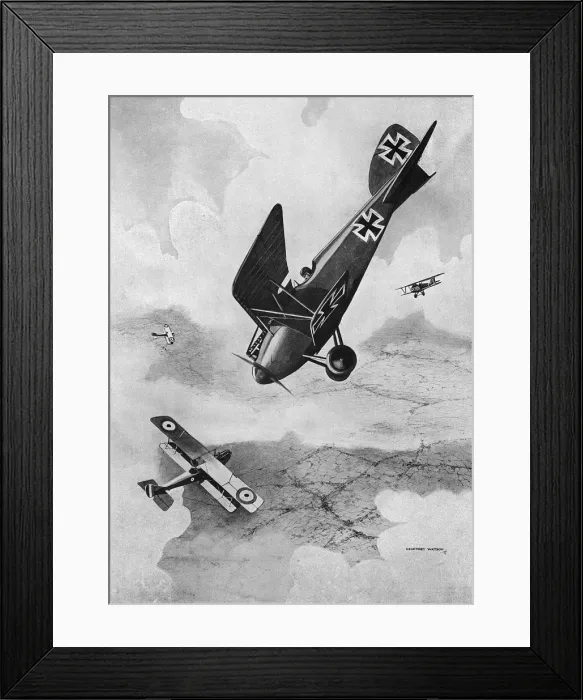 Framed Print : The German DIII Albatros diving at a foe, WW1 Framed Print : The German DIII Albatros diving at a foe, WW1