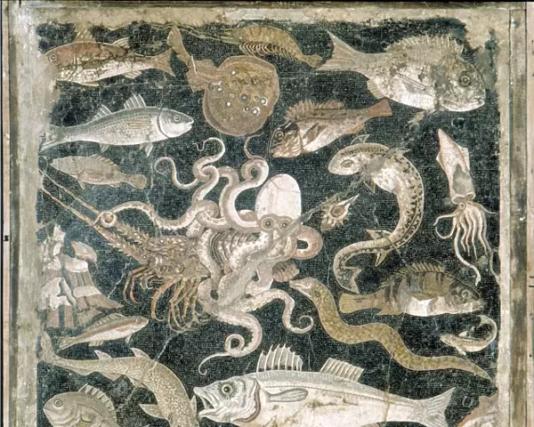 Fish Mosaic from Pompeii