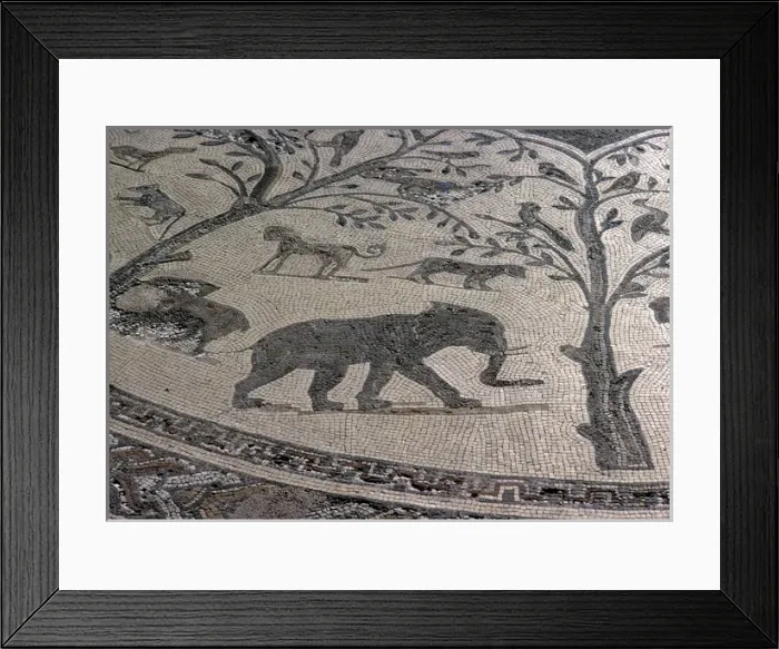 Framed Print : Elephant Mosaic at Volubilis Framed Print : Elephant Mosaic at Volubilis