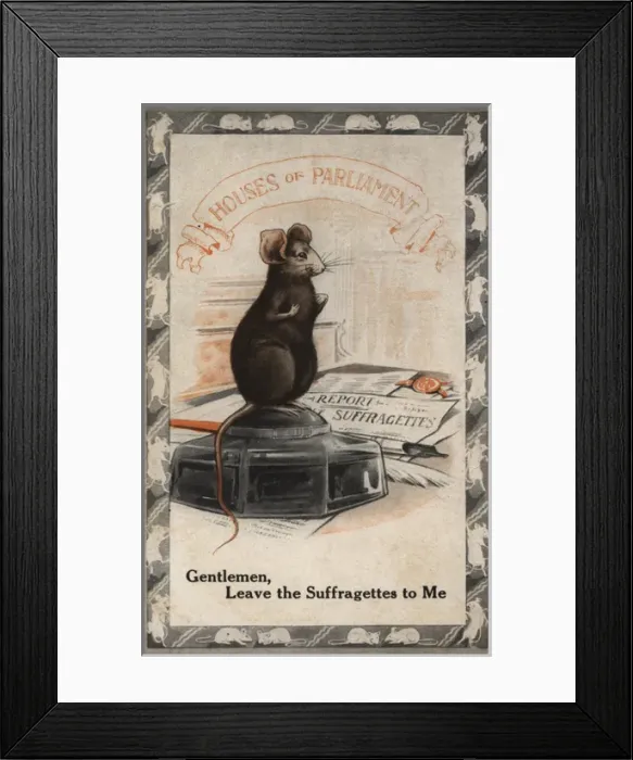 Framed Print : Suffragette Mouse in Houses of Parliament Framed Print : Suffragette Mouse in Houses of Parliament