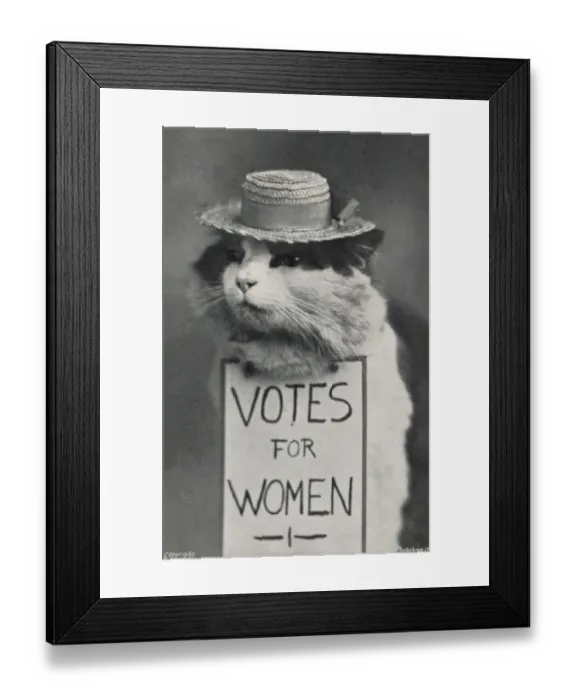 Framed Print : Suffragette Cat in Straw Hat Votes for Women Framed Print : Suffragette Cat in Straw Hat Votes for Women