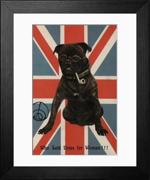 Framed Print : Suffragette Dog with a Pipe and Spectacles Framed Print : Suffragette Dog with a Pipe and Spectacles