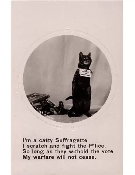 Suffragette Cat Scratch and Fight Police