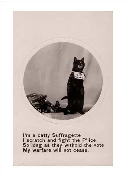 Suffragette Cat Scratch and Fight Police