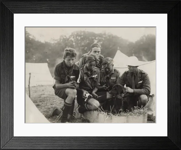 Framed Print : Boy scouts in camp, Denmark Framed Print : Boy scouts in camp, Denmark