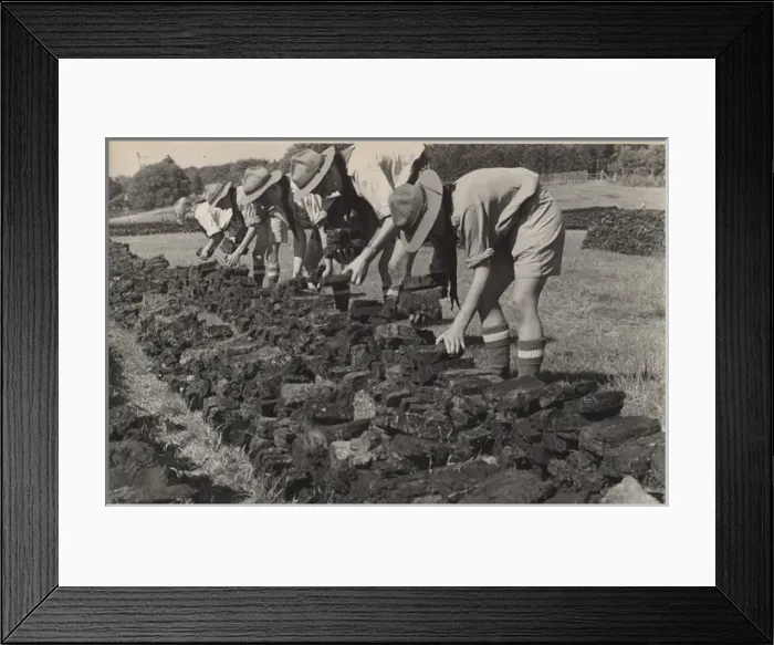 Framed Print : Boy scouts turning peat, Denmark Framed Print : Boy scouts turning peat, Denmark