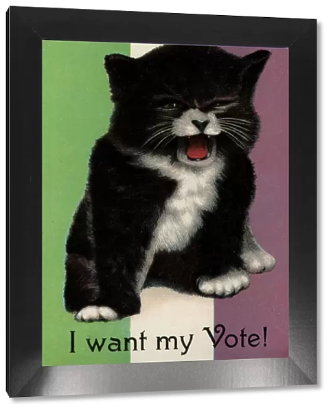 Suffragette Cat I Want My Vote