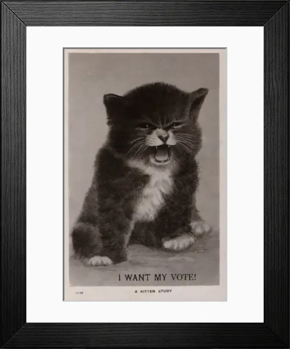 Framed Print : Suffragette Kitten I Want My Vote Framed Print : Suffragette Kitten I Want My Vote