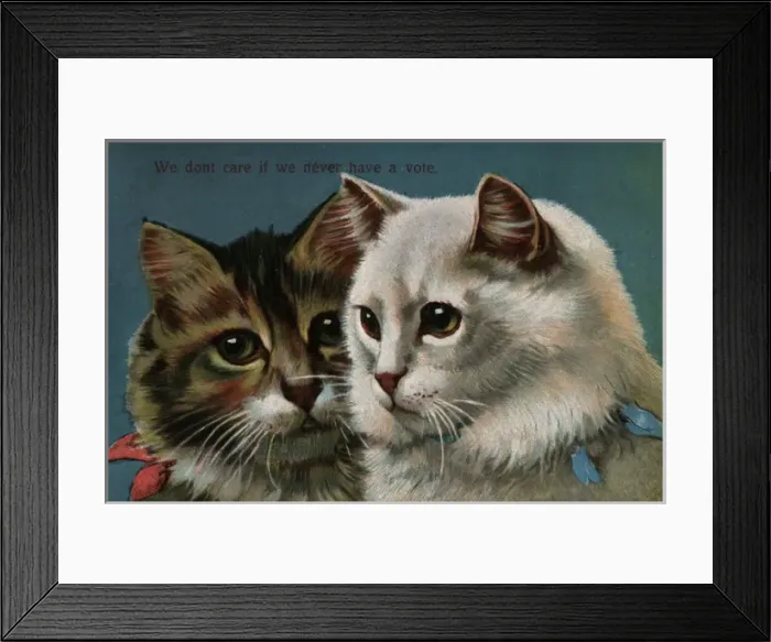 Framed Print : Suffragette cats Never Have A Vote Framed Print : Suffragette cats Never Have A Vote