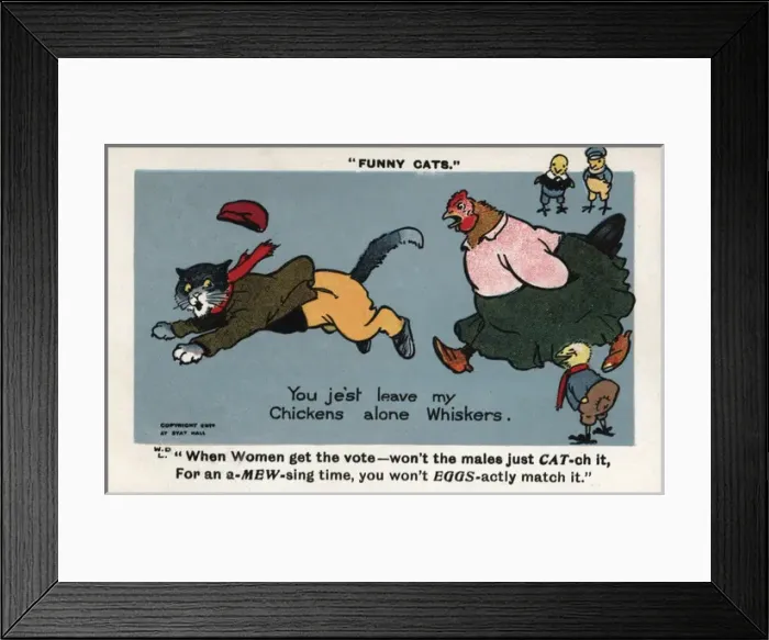 Framed Print : Suffragette Chicken Chases Cat Framed Print : Suffragette Chicken Chases Cat