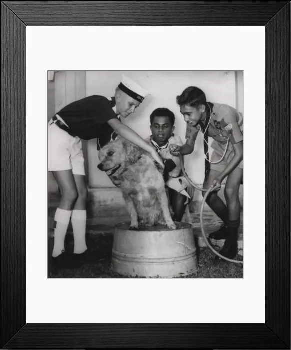 Framed Print : Scouts from Fiji, South Pacific