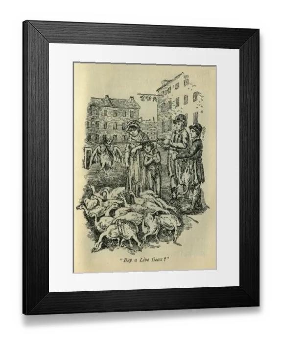 Framed Print : Goose seller Framed Print : Goose seller