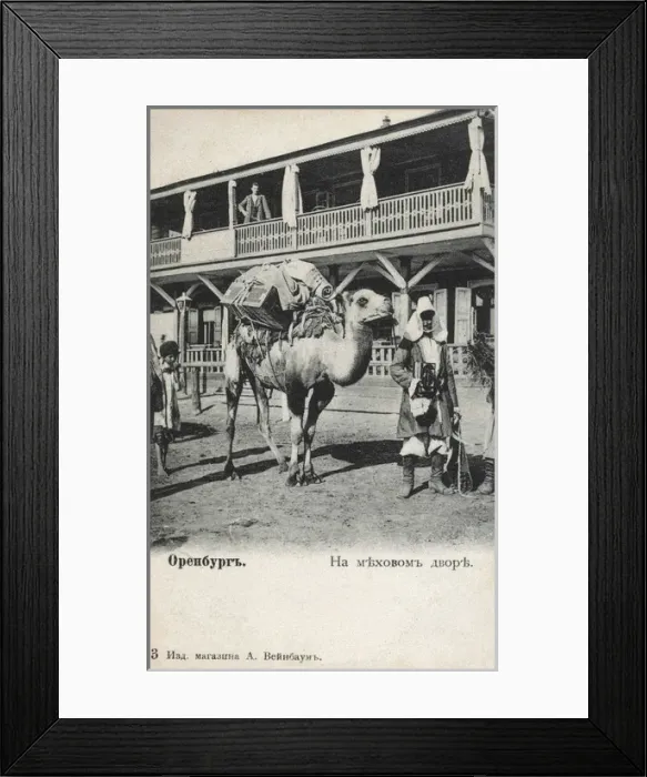 Framed Print : Asiatic market scene, Orenburg, Russia Framed Print : Asiatic market scene, Orenburg, Russia