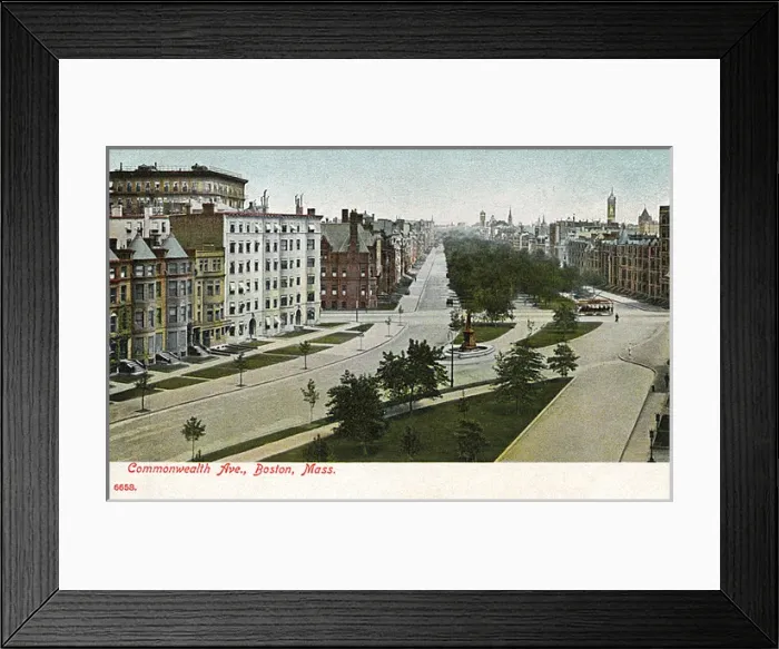 Framed Print : Commonwealth Avenue, Boston, Massachusetts, USA Framed Print : Commonwealth Avenue, Boston, Massachusetts, USA