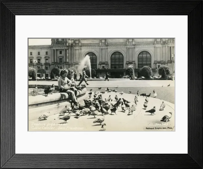 Framed Print : Feeding pigeons, San Francisco, California, USA Framed Print : Feeding pigeons, San Francisco, California, USA