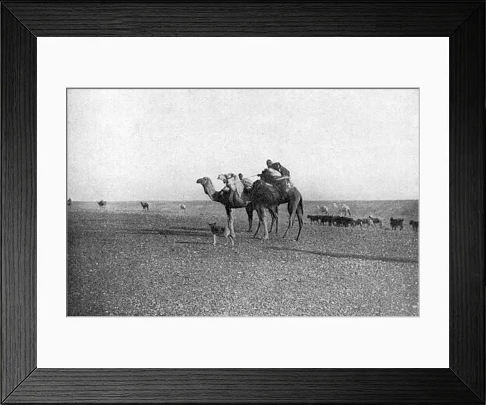 Framed Print : The Desert Framed Print : The Desert