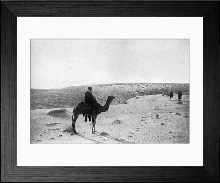 Framed Print : The Desert Framed Print : The Desert